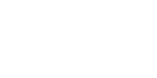 Pinnacle Tax logo